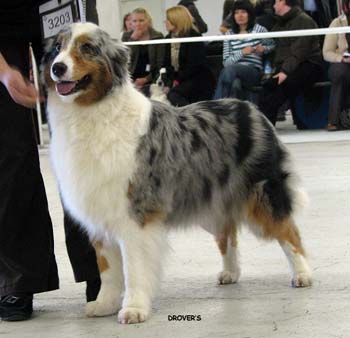 open bitches EXC2 Energie's V.I.P. Energie2