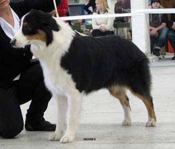 open bitches G Hazelmoor Marilyn Monroe