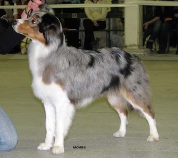 open bitches G Meet Myown Maid Marian