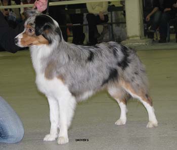 open bitches G Meet Myown Maid Marian1