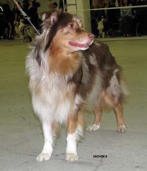 open bitches VG North Legends Bonnie1