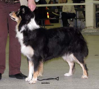 open bitches VG3 Ossequente Unsparing Glory