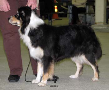 open bitches VG3 Ossequente Unsparing Glory1