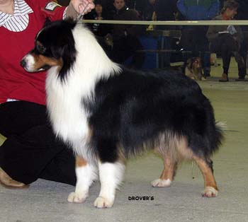 open males VG3 Gun Lake Do You Mind