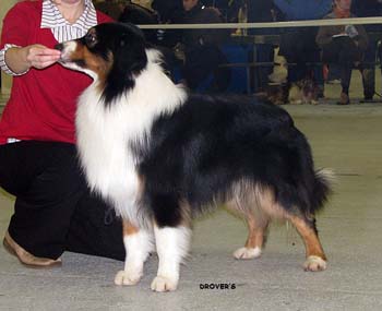 open males VG3 Gun Lake Do You Mind1