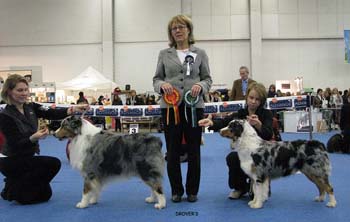 BOB CH Thornapple Hot Wheels and BOS Watermark Rose at Coppercreek