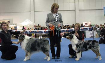 BOB CH Thornapple Hot Wheels and BOS Watermark Rose at Coppercreek2