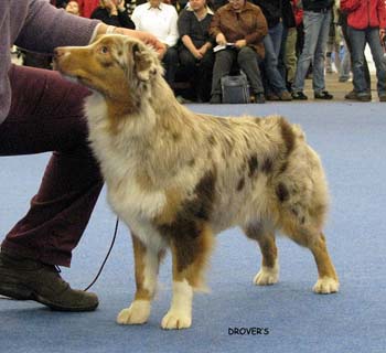 junior bitch EXC4 Keepsake Sangria3