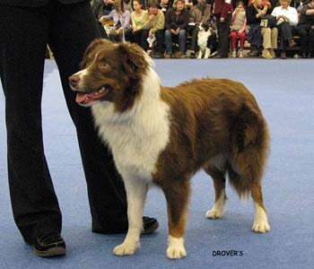 junior bitch VG Jess's Especially for You2