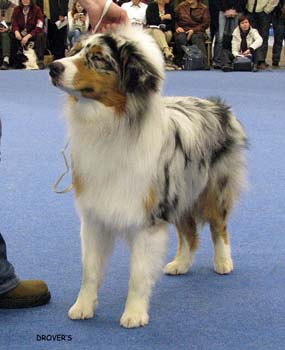 junior male EXC1, FINJW-07 Sentikki Skyline2