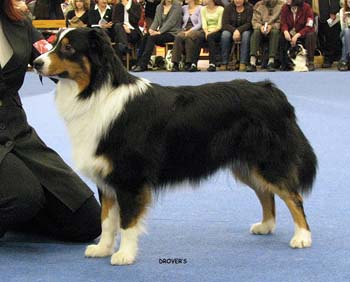 junior male VG Stargates Quest for Bywater