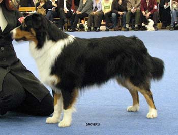 junior male VG Stargates Quest for Bywater1