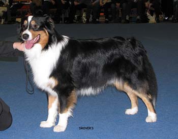 junior male VG Stargates Quest for Bywater2