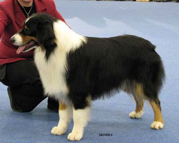 open male VG3 Gun Lake Do You Mind