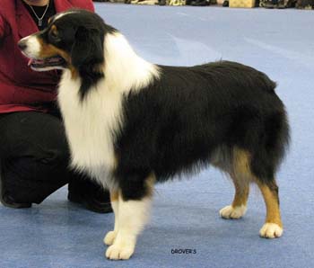 open male VG3 Gun Lake Do You Mind1