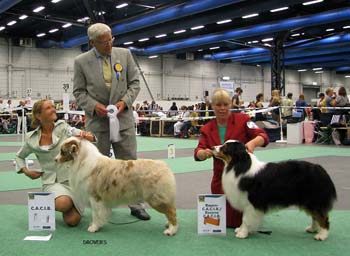 CACIB male CH Thornapple Aftershock and res.CACIB male Thornapple Ragtime Move Over2