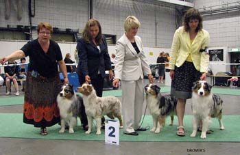 breeders class 2nd Drover's