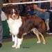 junior males EXC4 Khetashio Times R Changing