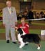 open males EXC1 CAC res.CACIB Thornapple Ragtime Move Over