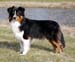 18.04 Gizmo, Drover's Can't Help It