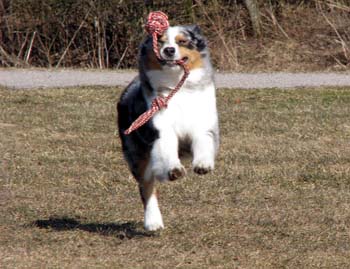 April 11th Pinja3