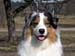 April 11th Albin1