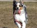 April 11th Pinja4