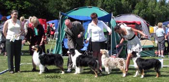 breeders groups 1st Thornapple1