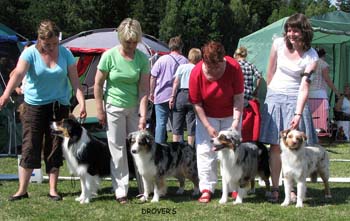 breeders groups 2nd Drover's