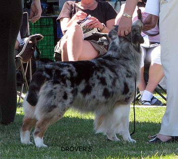 open bitches EXC3 Drover's Breakthrough