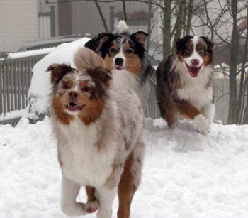 feb 7th Thyra, Rico and Edith