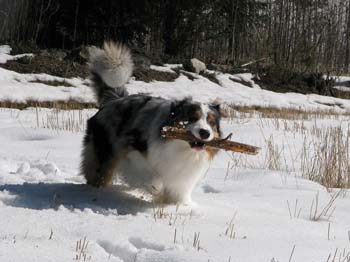 march 19th Albin