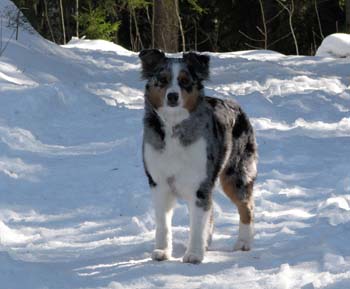 march 19th Pinja - the beautiful