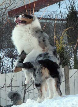 march 1st Albin and Pinja