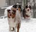feb 7th Thyra, Rico and Edith