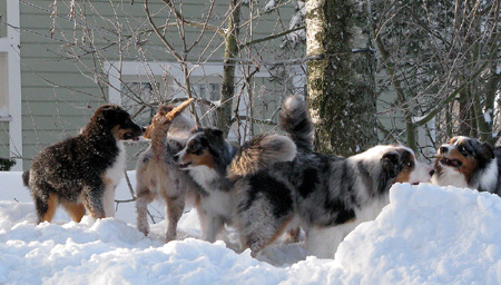 25th february the gang1