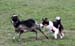 Drover's Forevermore, Fara6