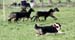 Drover's Forevermore, Fara9