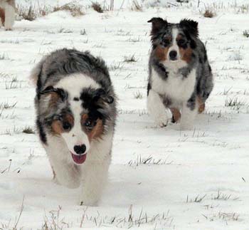Albin and Pinja