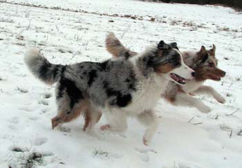 Albin and Thyra1