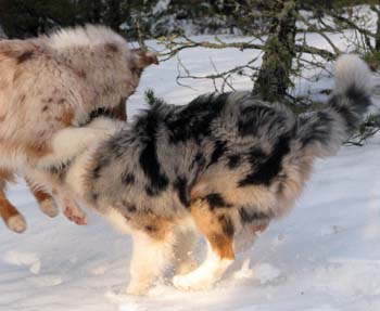 Albin and Thyra5