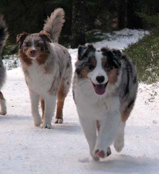 Thyra and Albin