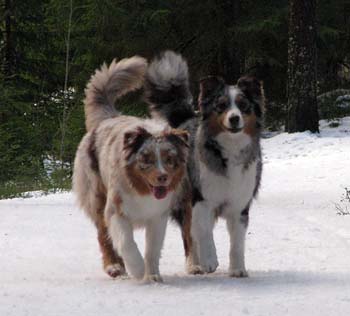 Thyra and Pinja
