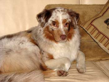 Thyra