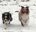 Pinja and Thyra