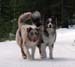 Thyra and Pinja
