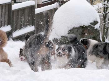Jan 23rd snowfun
