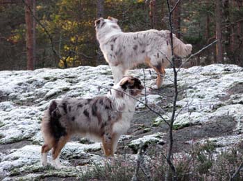 Jan 2nd Edith and Thyra
