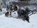 Jan 23rd Gösta and Albin with the icy football