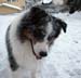 Jan 23rd Gösta says let's play icefootball1